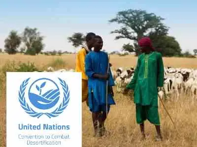 Three young herders with their flock in Senegal, beside the logo of the UN Convention to Combat Desertification